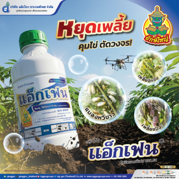 ไฟว์โกร80